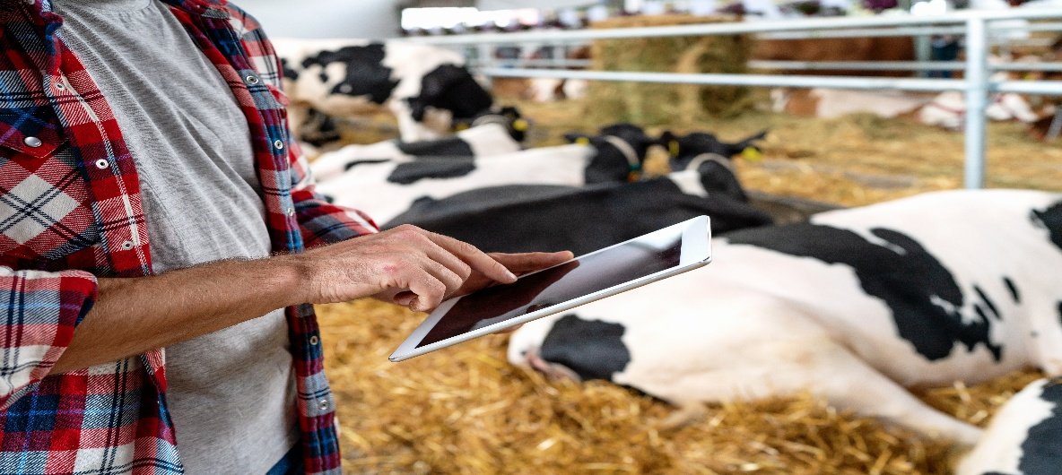 Animal Feed technical support